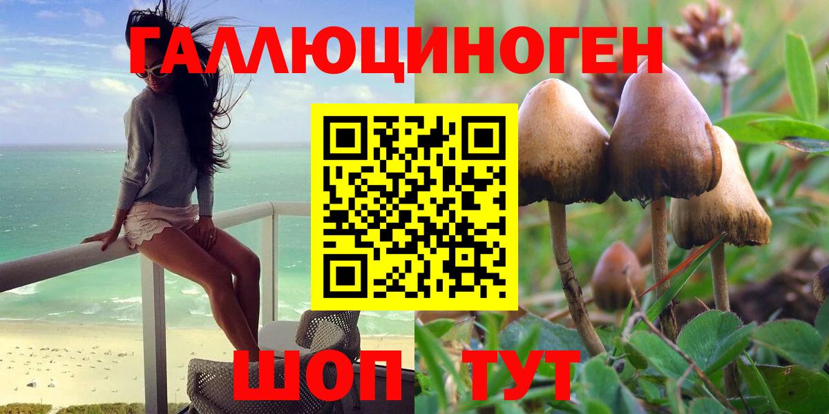 Галлюциногенные грибы Cubensis  Вход с VPN  Черногорск  Галлюциногенные грибы MAGIC MUSHROOMS 